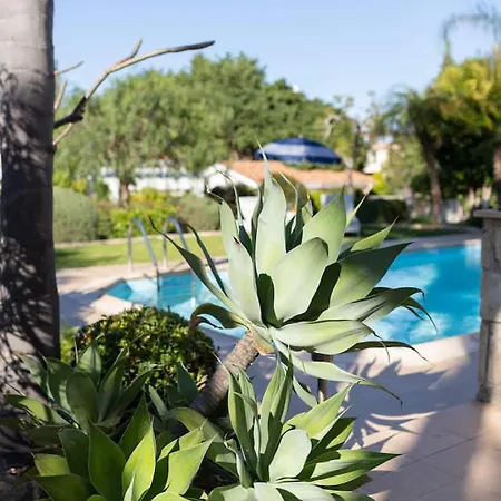 Hébergement de vacances Lavanda - Elegant 3br Retreat With Private Pool & Garden