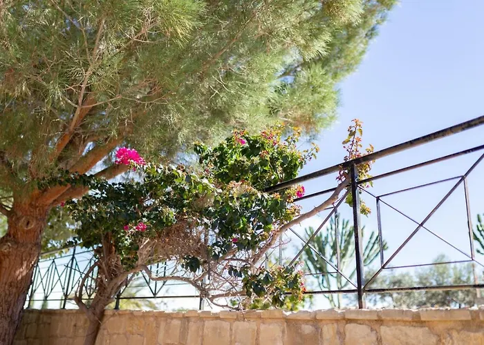 Lavanda - Elegant 3br Retreat With Private Pool & Garden Semesterbostad Polis