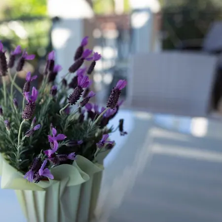 Lavanda - Elegant 3br Retreat With Private Pool & Garden *